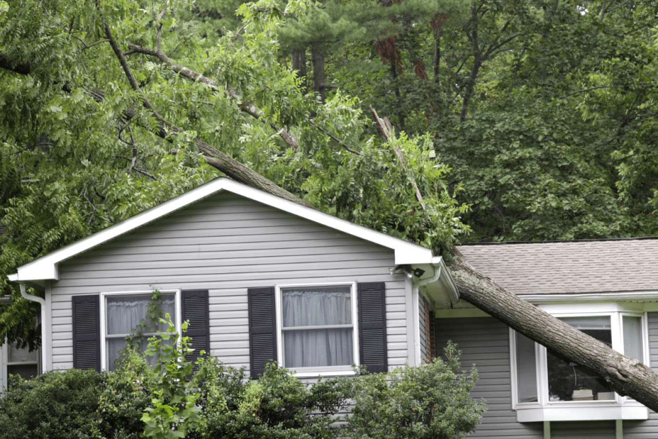 Emergency Service Emergency Service